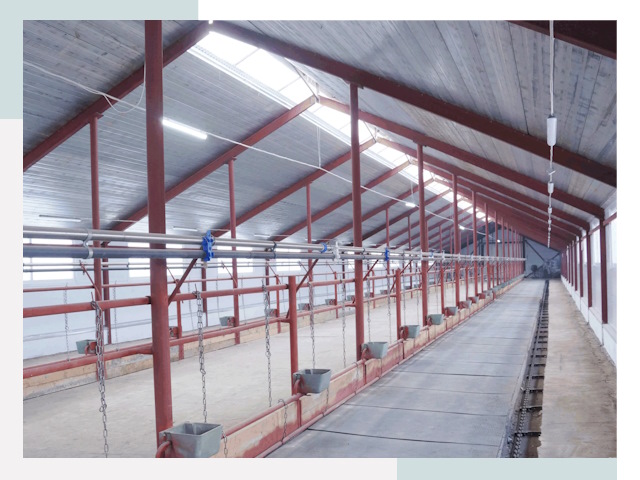 Строительство коровников в Грозном от 616 руб.