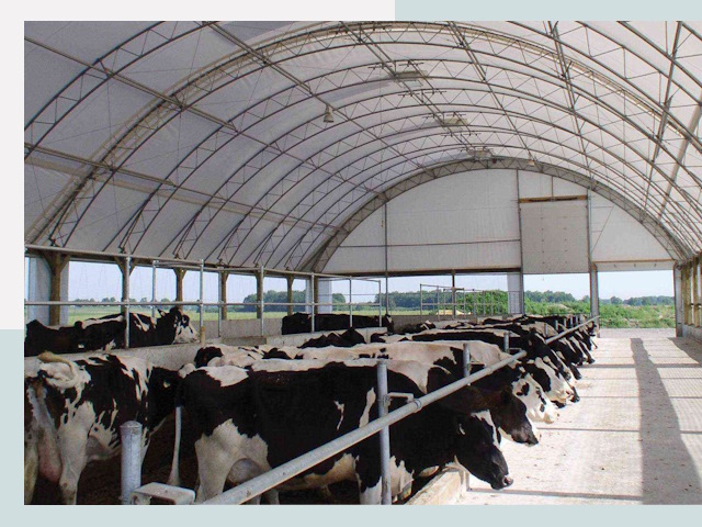 Тентовые коровники в Грозном